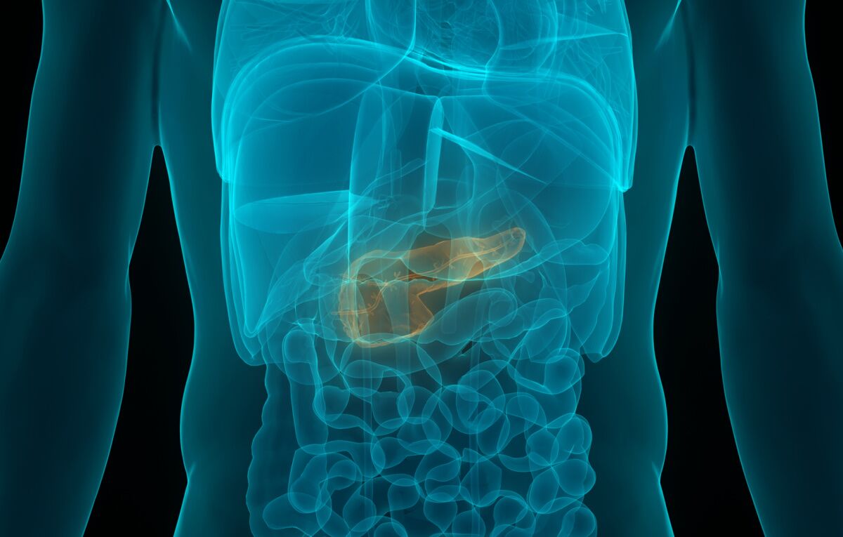 Understanding Organ Regeneration